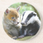 Foxcub Badger Cute Coasters