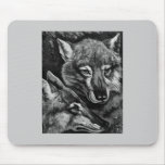 Foxes / Wolves / Coyotes ? Mousepads