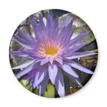 Foxfire magnets