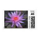 Foxfire postage by utopiaaquatic Foxfire postage