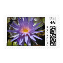Foxfire stamps