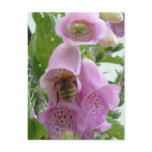 Foxglove and Bee Postcard Foxglove and Bee Postcard
