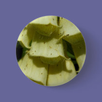 Foxglove buttons