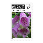 Foxglove Flower Lavender Postage