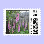 Foxglove postage stamp stamps