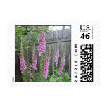Foxglove postage stamp