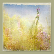Foxglove posters by OccasionalOasis Foxglove posters