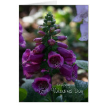 Foxglove Valentine cards