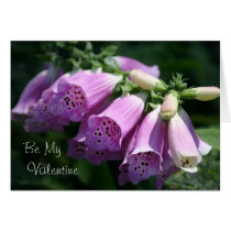 Foxglove Valentine cards