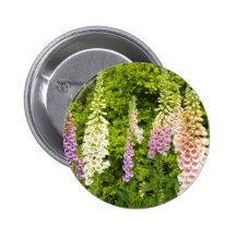 Foxgloves Pin