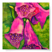 Foxgloves Print posters