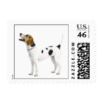 Foxhound Stamp (SMALL)