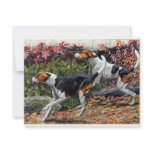 dog, pet, animal, puppy, puppies, akc, kennel,