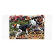 Foxhounds Photo Greeting Card
