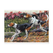 Foxhounds Postcards