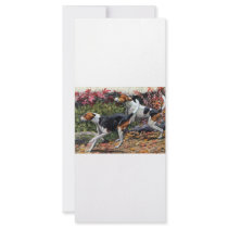 Foxhounds Rack Card