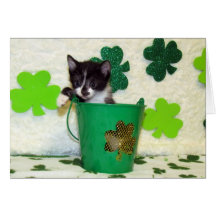 Foxi Moxi's St. Patrick's Day Greeting Card