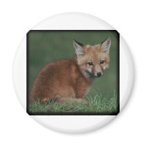 foxkit magnet