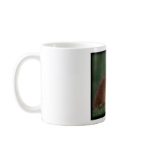 foxkit mugs