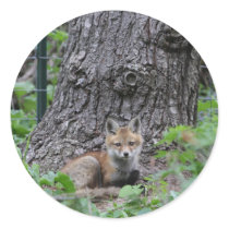 foxn stickers by kathiscc foxn stickers