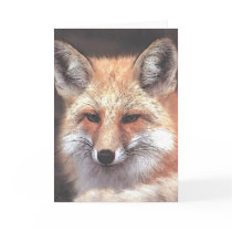 foxy cards