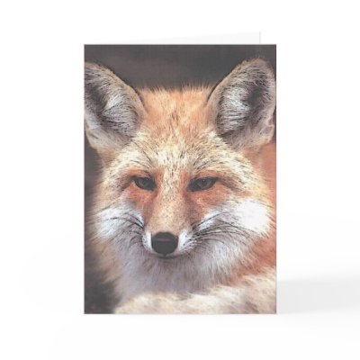 foxy card by REDINARD