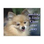 Foxy Cheery Postcard- add your words