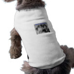 Foxy Freedom band photo pet clothing