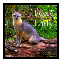 FOXY LADY posters by THEGRAYFOX FOXY LADY posters