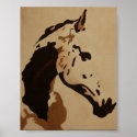 FOXY posters