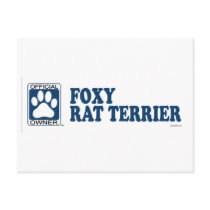 Foxy Rat Terrier Blue postcards