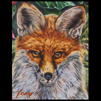 foxy t-shirts