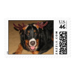 FPG Xmas Bernese - Postage