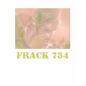 FRACK 734 t-shirts by fractalquilter FRACK 734 t-shirts