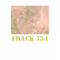 FRACK 734 t-shirts by fractalquilter FRACK 734 t-shirts