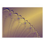 Frack_753_by_aloramyst