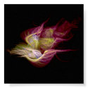 Fract~Feather posters