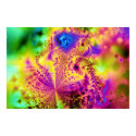 Fractal 031804D posters