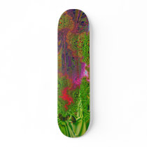 Fractal 898 skate decks