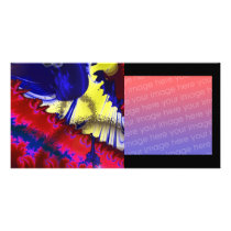 Fractal art photo cards