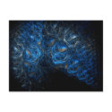Fractal ART s9 Postcards by webgrrl Fractal ART s9 Postcards