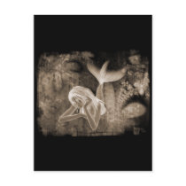 Fractal Background 3D Mermaid Brown Negative Postcard