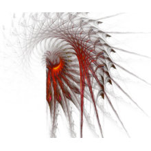 Fractal Feathers print