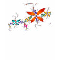 Fractal Flower T-Shirt