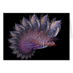 Fractal No. 61 Card