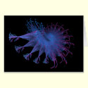 Fractal No. 72 Card by aerten Fractal No. 72 Card