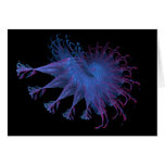 Fractal No. 72 Card