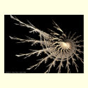 Fractal No. 90 Poster posters