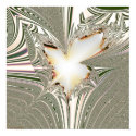 Fractal Projection 1.5.1 posters
