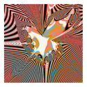 Fractal Projection 1.7d2 posters by abstract_3D_design Fractal Projection 1.7d2 posters